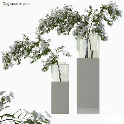 现代花瓶花艺 水生植物